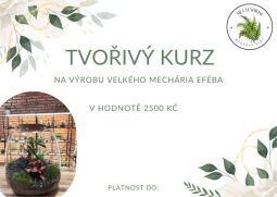 TVOŘIVÝ KURZ
